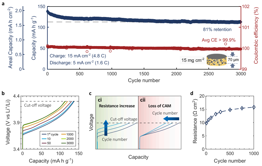 1735867880260512.png 3.png